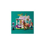 LEGO Friends-Horse Training - Image 6